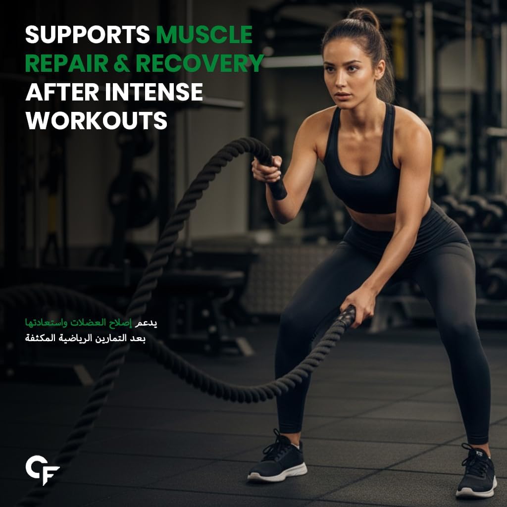 Pea Protein Isolate 30g per Serving with BCAA – Plant-Based Protein Support