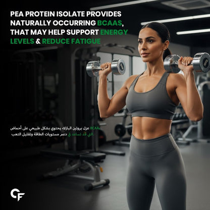 Pea Protein Isolate 30g per Serving with BCAA – Plant-Based Protein Support