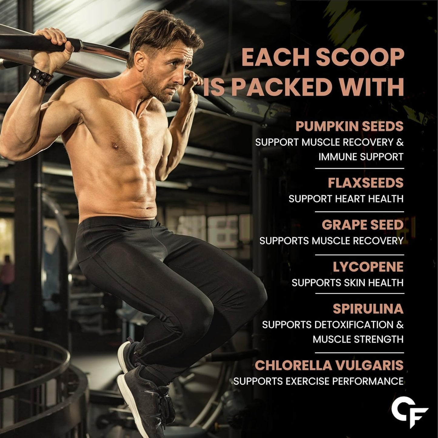 Plant Protein Powder with Multivitamins, Superfoods & Enzymes – 25g Protein Support
