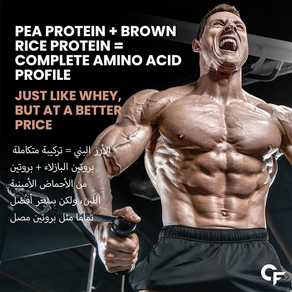 Plant Protein Powder with Multivitamins, Superfoods & Enzymes – 25g Protein Support