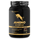 Amino Extreme Chewable – 12g Protein Per Serving | Supports Muscle Growth, Recovery & Strength | Delicious Chocolate Flavor