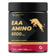 EAA AMINO POWDER FRUIT PUNCH 450g