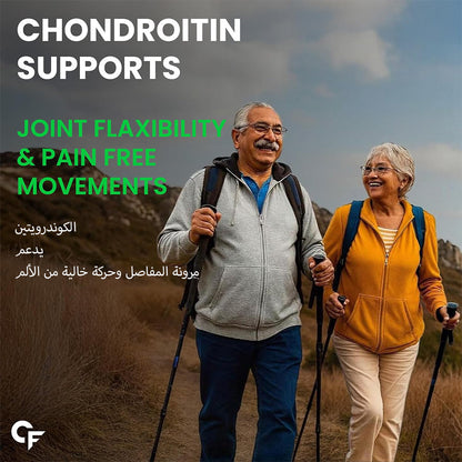 Glucosamine Chondroitin MSM 3900 mg with Boswellia – Joint Support Formula
