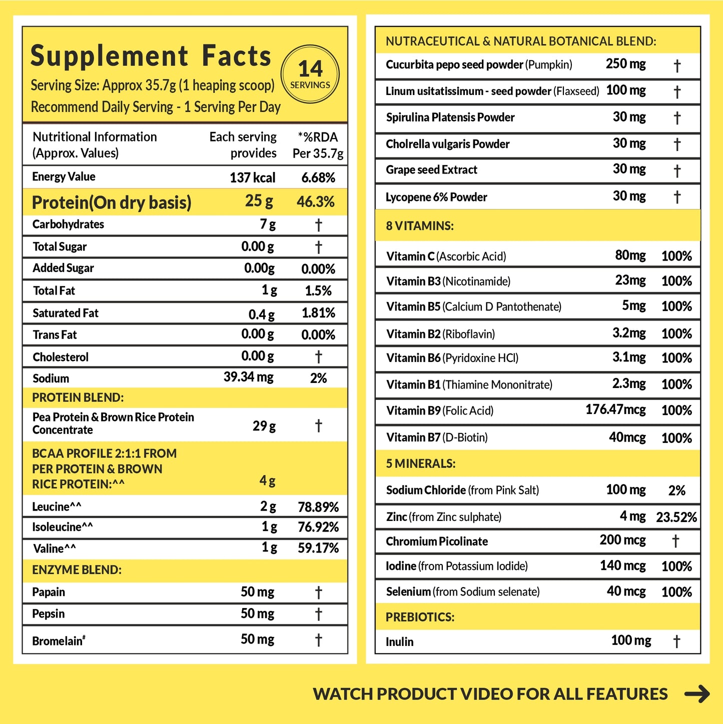PLANT PROTEIN ALPHONSO MANGO 500g