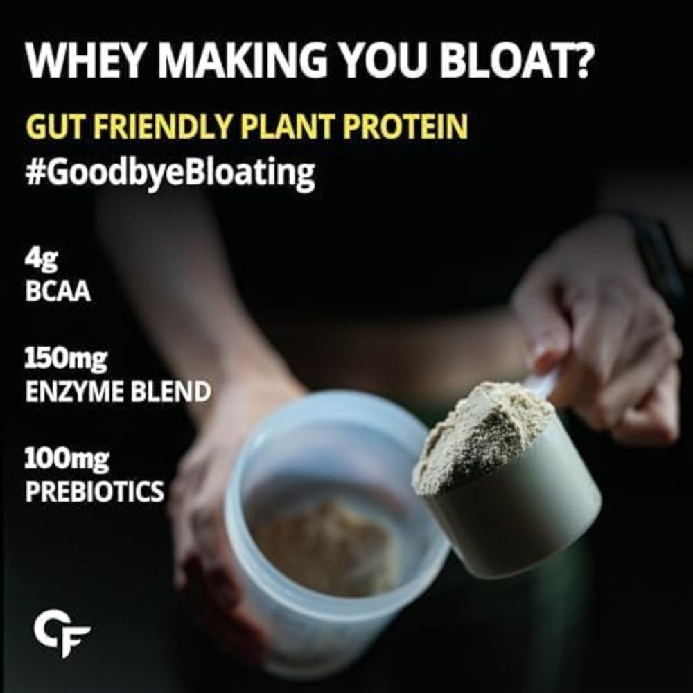 PLANT PROTEIN ALPHONSO MANGO 500g