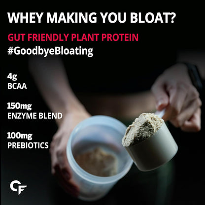 PLANT PROTEIN WATERMELON 500g