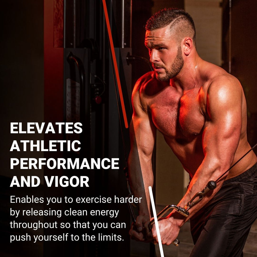Carbamide Forte L Carnitine Powder for Men & Women | L Carnitine Powder Men | L Carnitine Powder Pure For Pre Workout Carnitine Supplement | L Carnitine Supplement Blueberry Flavour - 150g